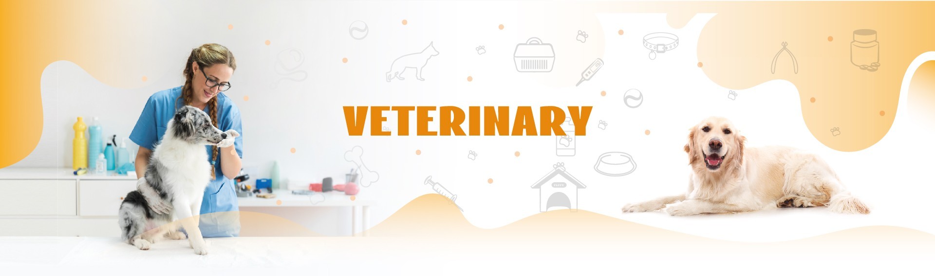 Kalite Veteriner Hızlı Test Kiti Hizmet